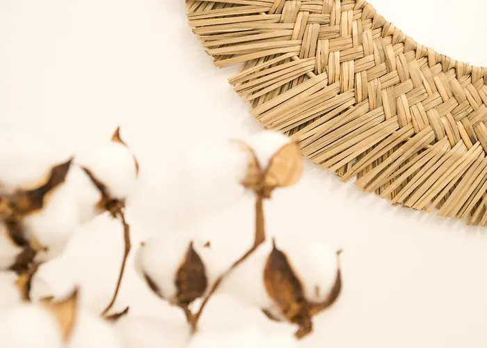 Lumia Appartamento *